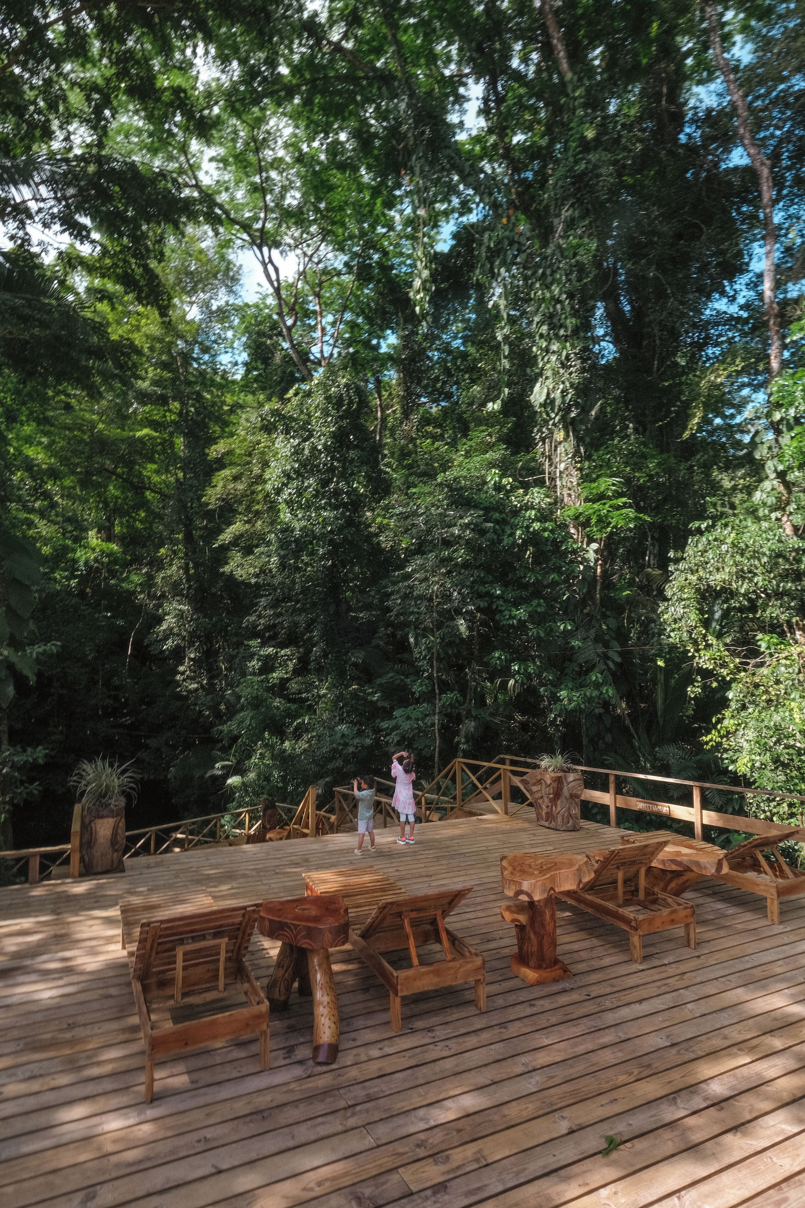 Un pontile in legno con panche e tavoli, immerso in una fitta foresta.