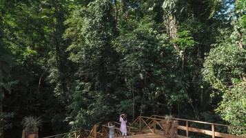 Un pontile in legno con panche e tavoli, immerso in una fitta foresta.