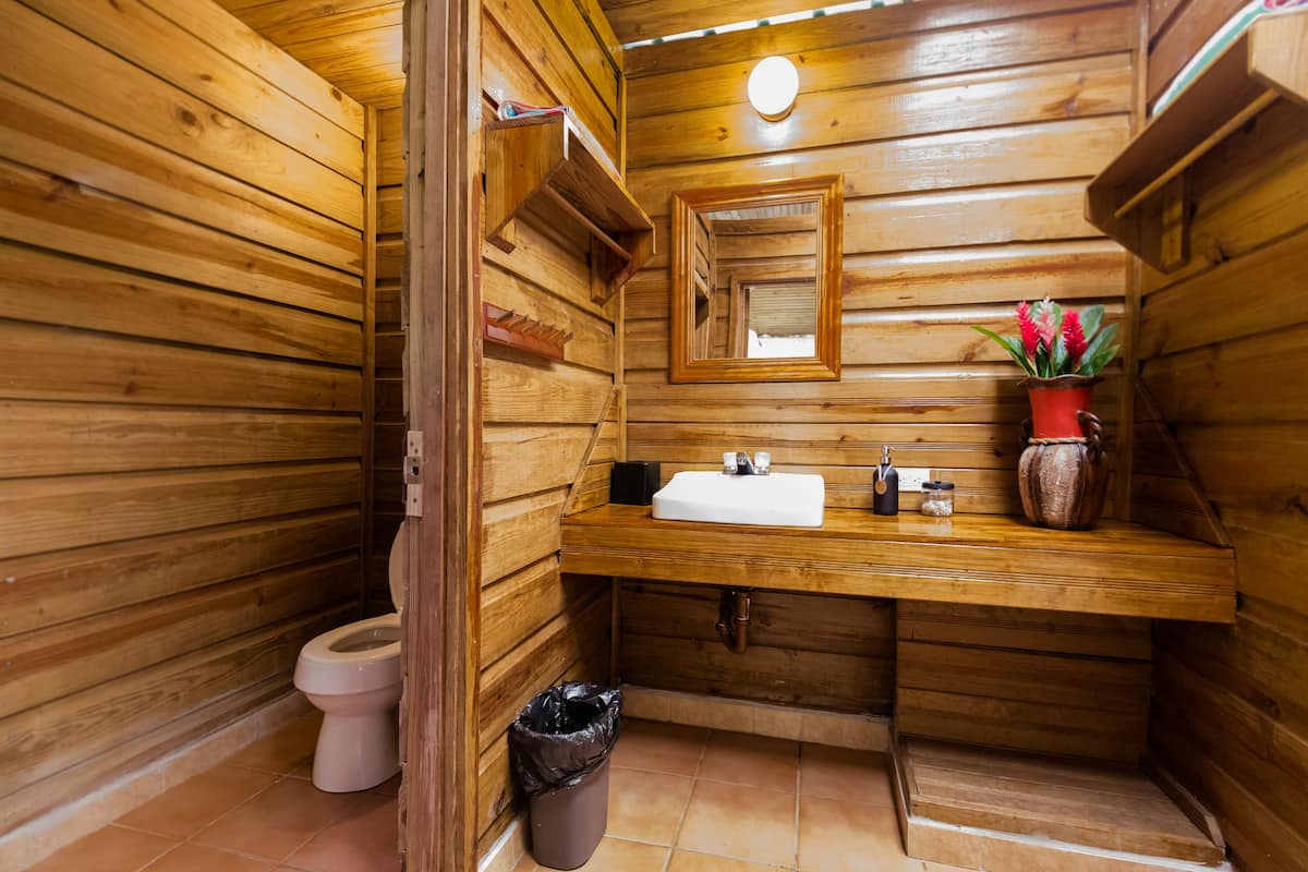deluxe cabin | bathroom | shower, eco-friendly toiletries, hair dryer, towels