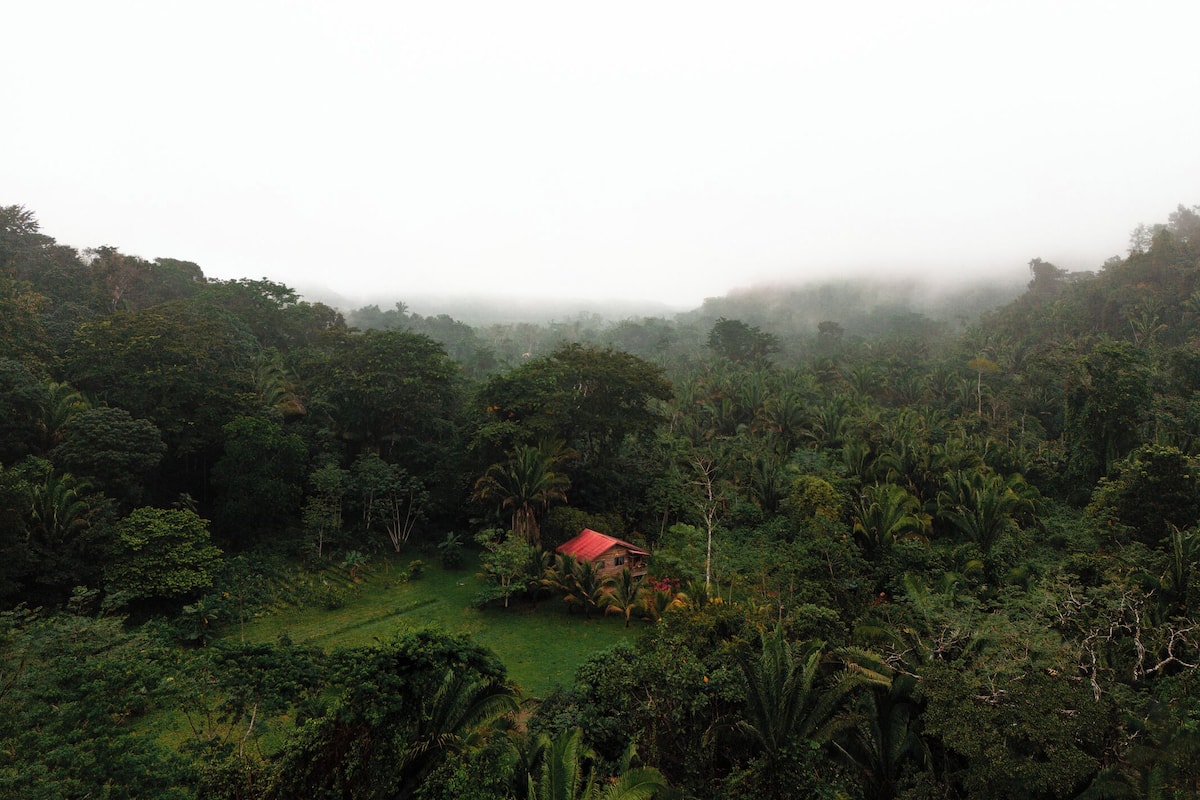 Bangalô, 2 quartos, vista para a montanha, no jardim | 1 quarto, roupas de cama premium, edredons de pluma, cofres nos quartos