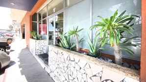 Une façade d’immeuble avec de grandes fenêtres, un mur en pierre orné de motifs géométriques et des plantes en pot.