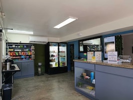 Recepción