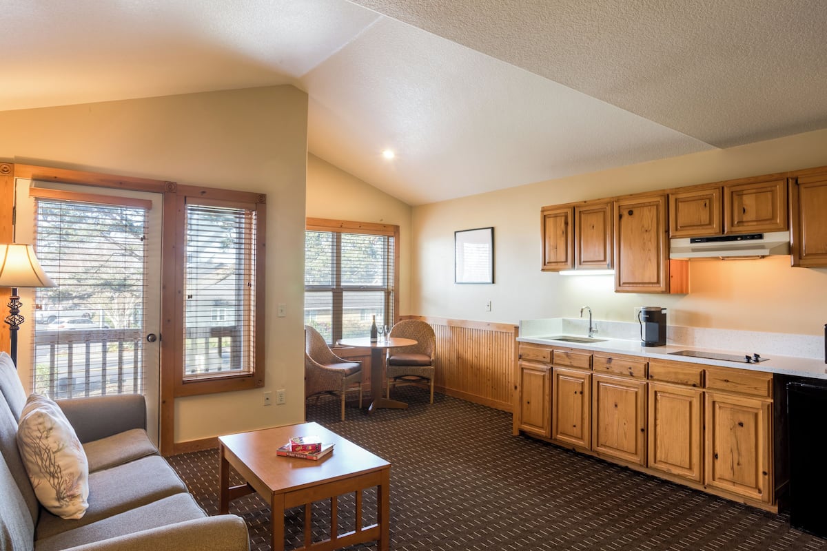 suite, 1 queen bed with sofa bed, kitchenette (2nd floor, pet-friendly) | living area | 50-inch flat-screen tv with cable channels, tv, dvd player