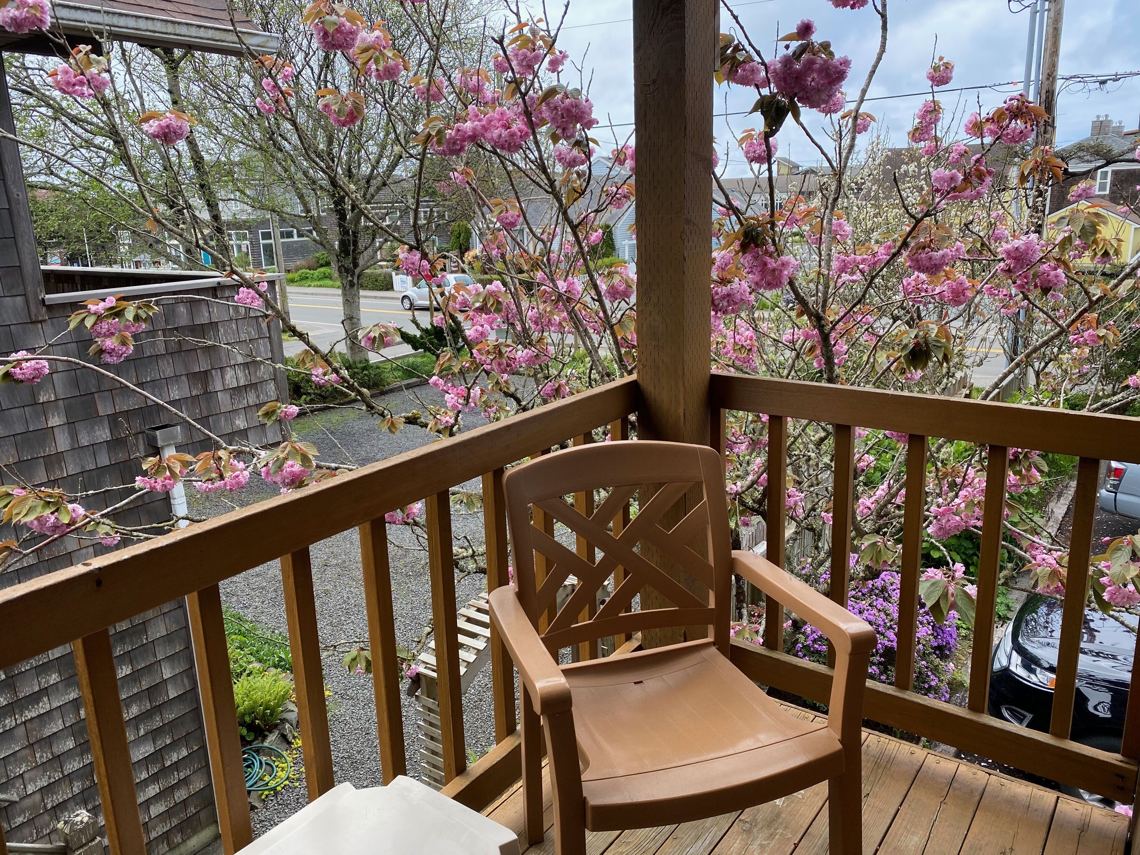 Televisión de pantalla plana, reproductor de DVD