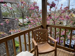 Suite, 1 cama Queen size y sofá cama, cocineta (2nd Floor, Pet-Friendly) | Área de sala de estar | Televisión de pantalla plana de 50 pulgadas con canales por cable