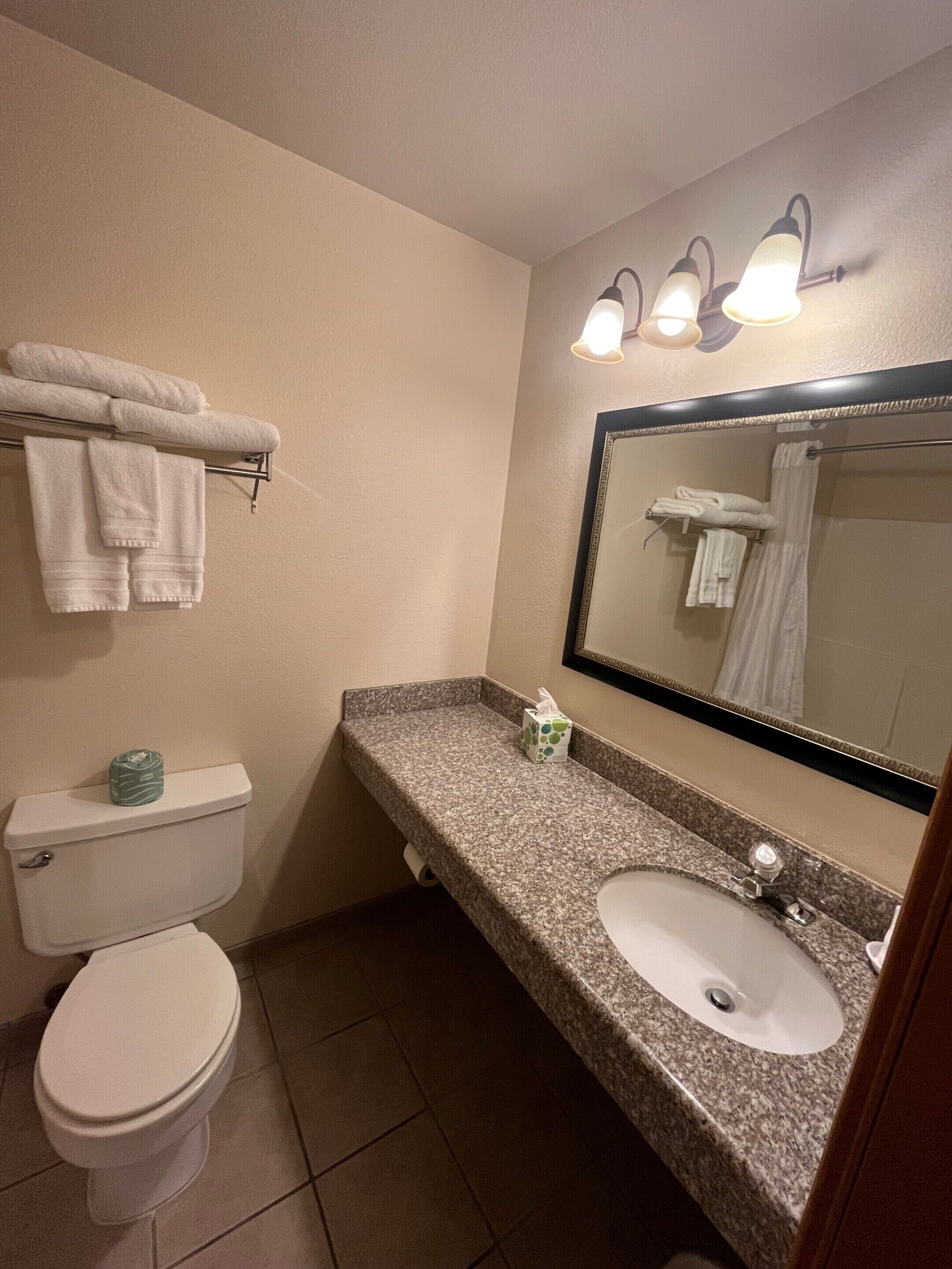 A bathroom with a toilet, sink, and towel rack.