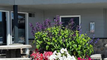 A building with a balcony, outdoor seating, and a flower planter.
