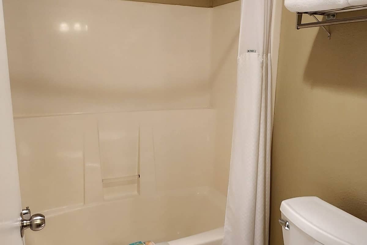 combined shower/bathtub, free toiletries, hair dryer, towels