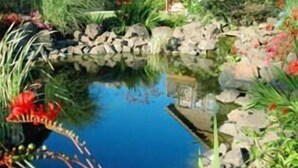 A residential property with a pond, surrounded by landscaped gardens and two houses. - Inn at Cannon Beach (Cannon Beach)