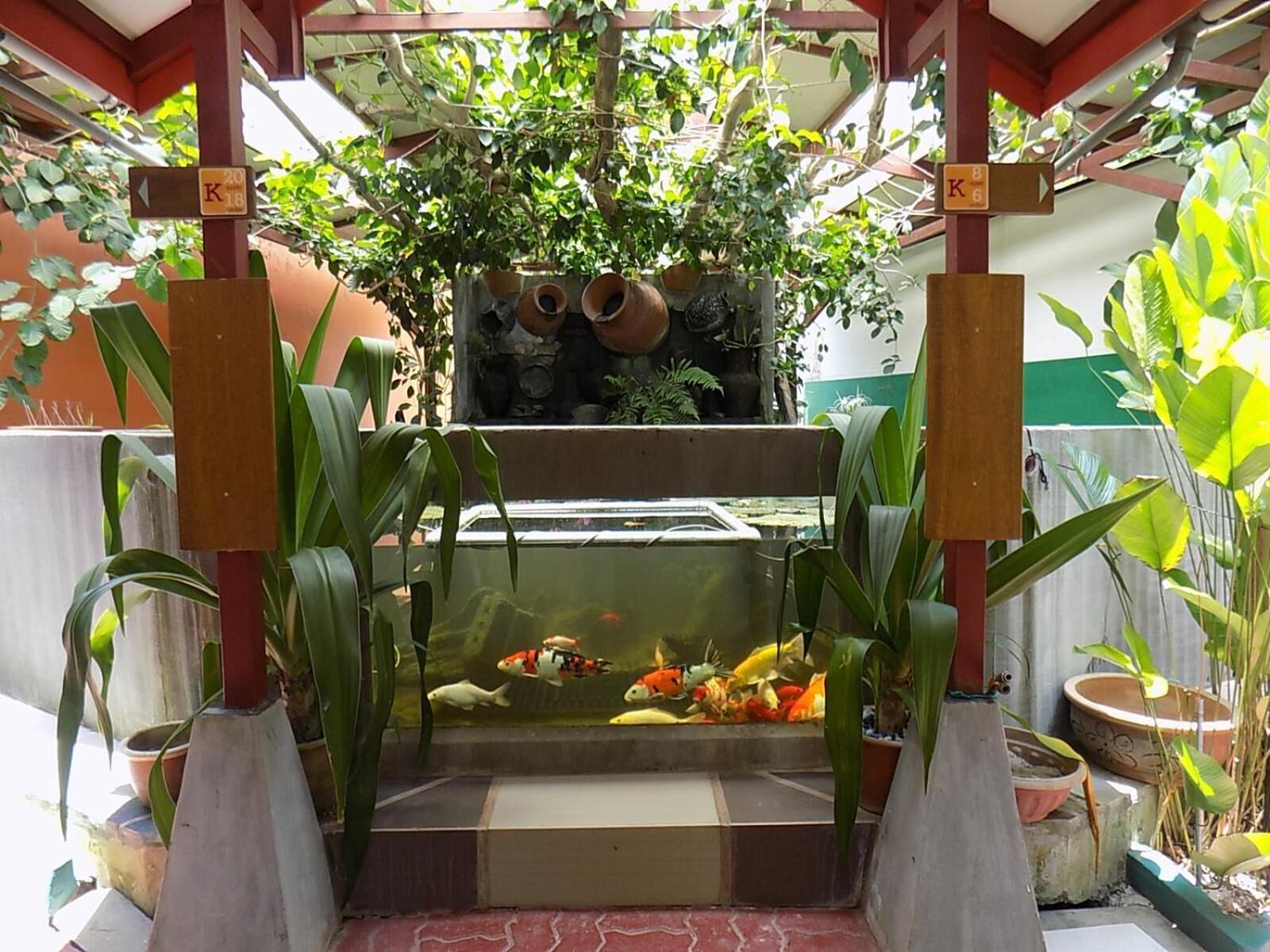 Foto - T Star Cottage Langkawi