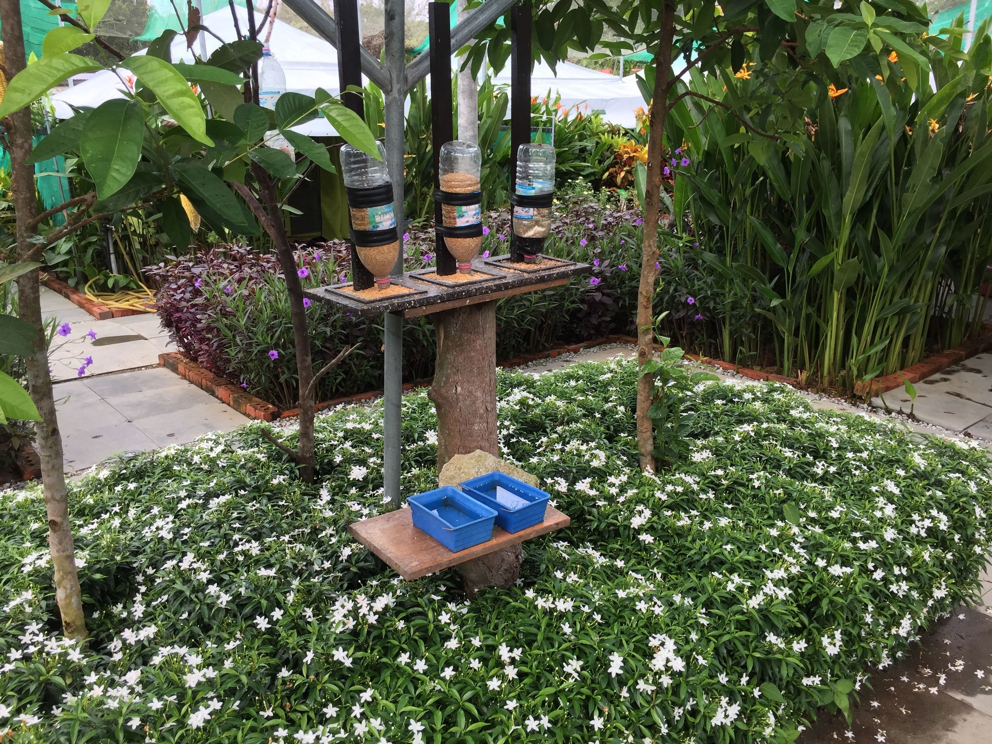 Un jardín con una mesa para comederos de pájaros, rodeado de flores blancas y follaje verde.