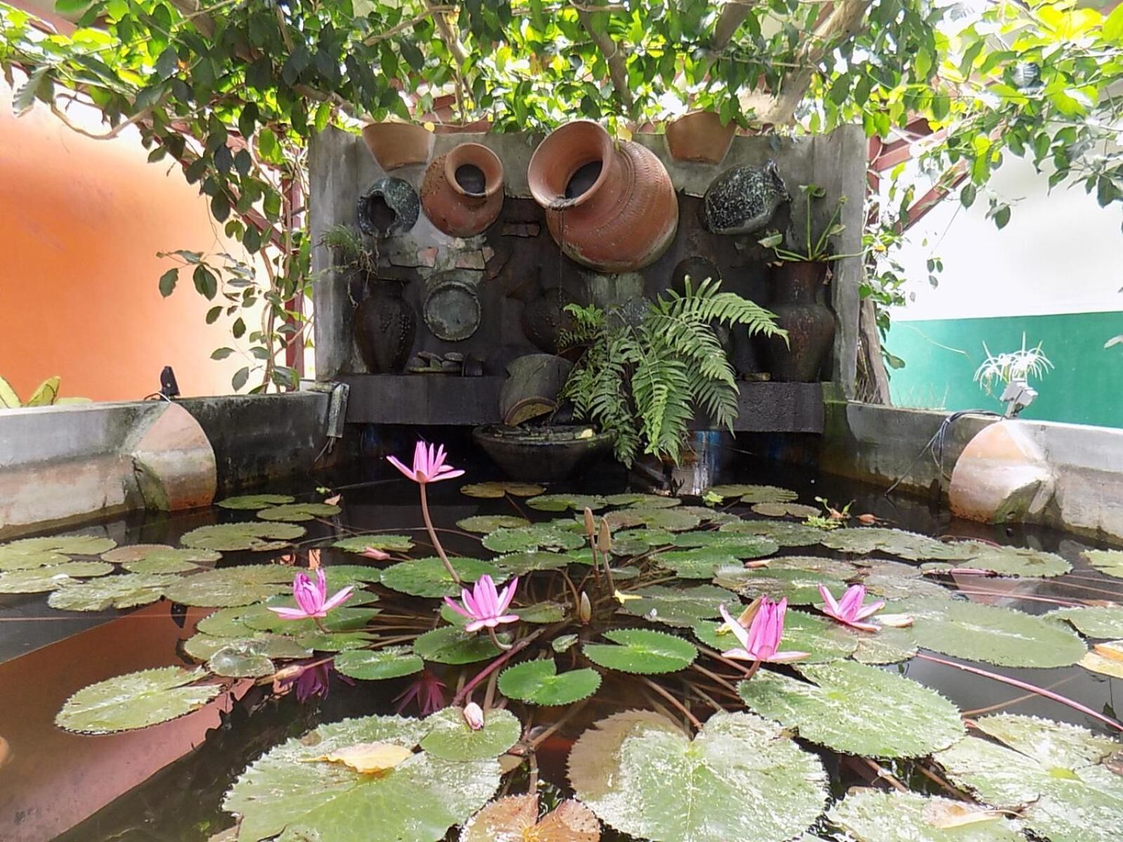 Foto - T Star Cottage Langkawi