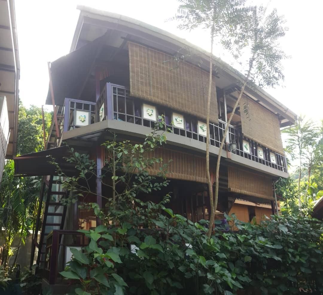 Foto - T Star Cottage Langkawi