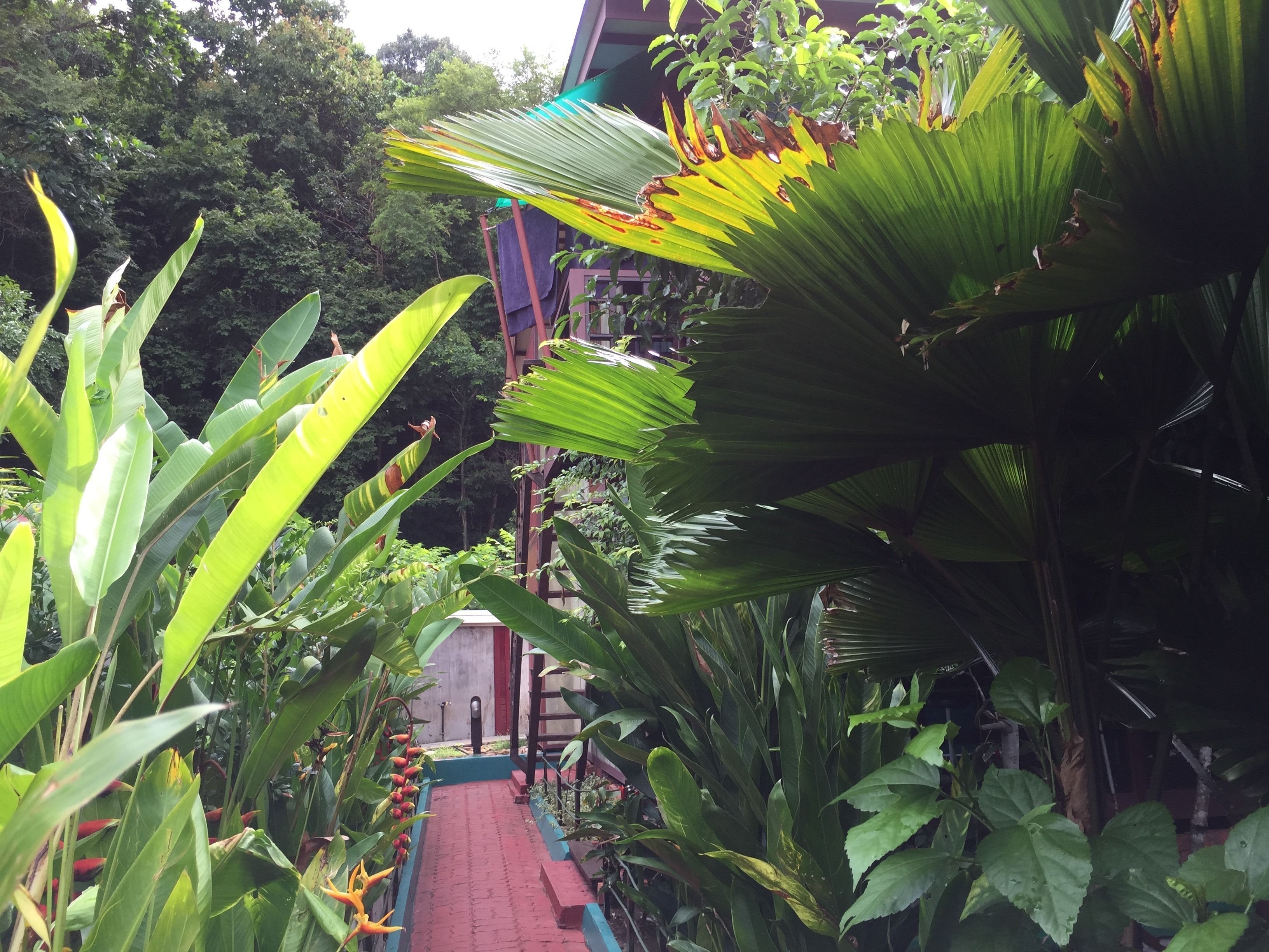 Foto - T Star Cottage Langkawi