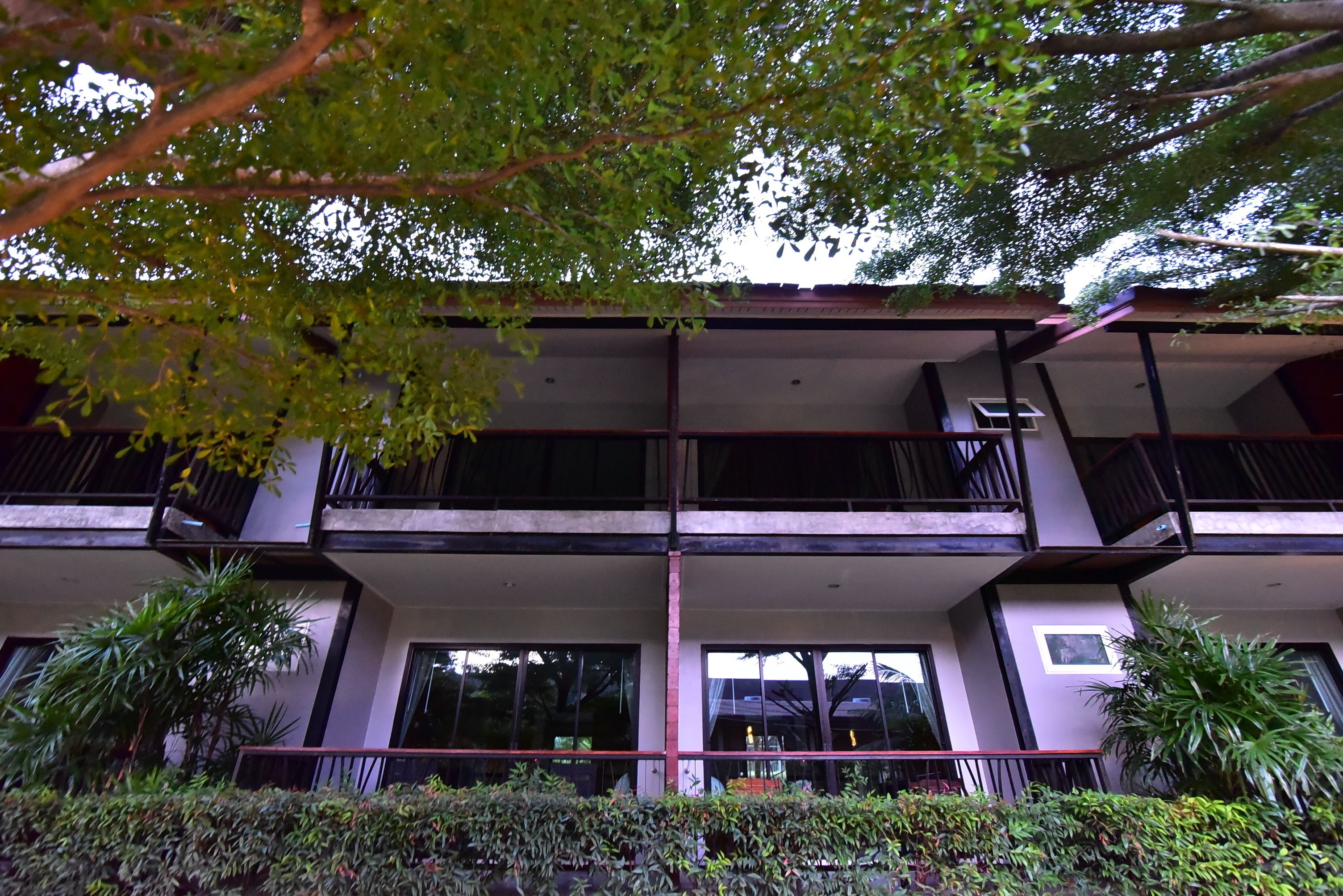 A multi-story building with balconies, large windows, and surrounding greenery.
