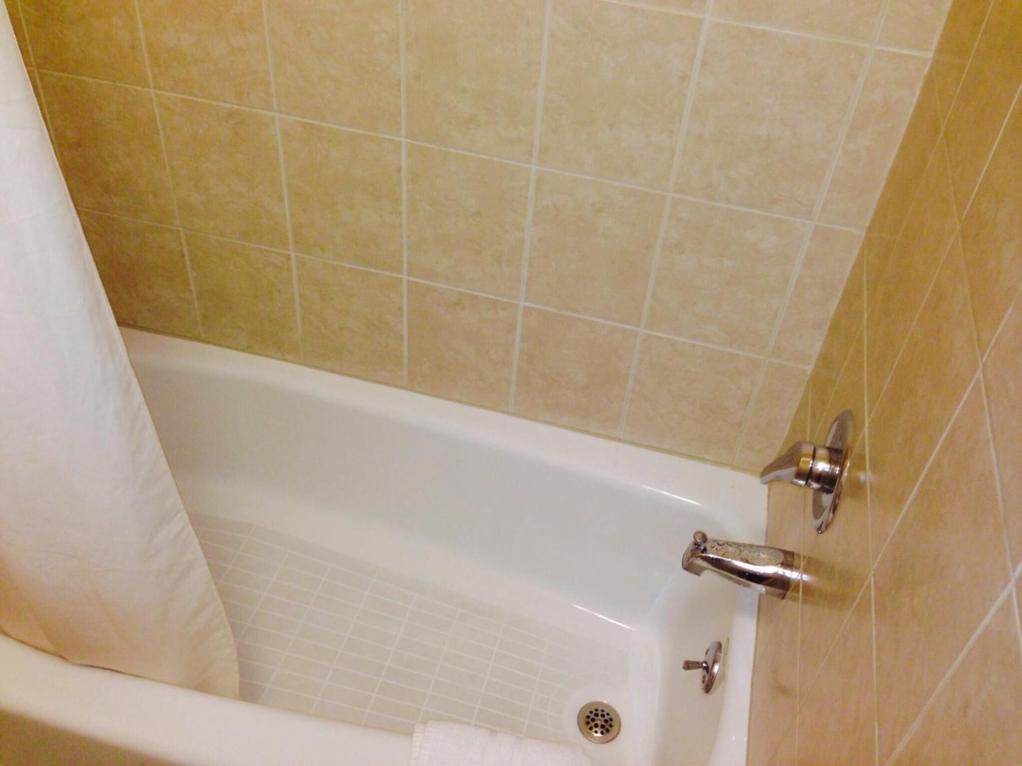 A bathtub with a showerhead and a drain.