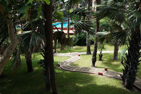 Outdoor pool, pool umbrellas, pool loungers