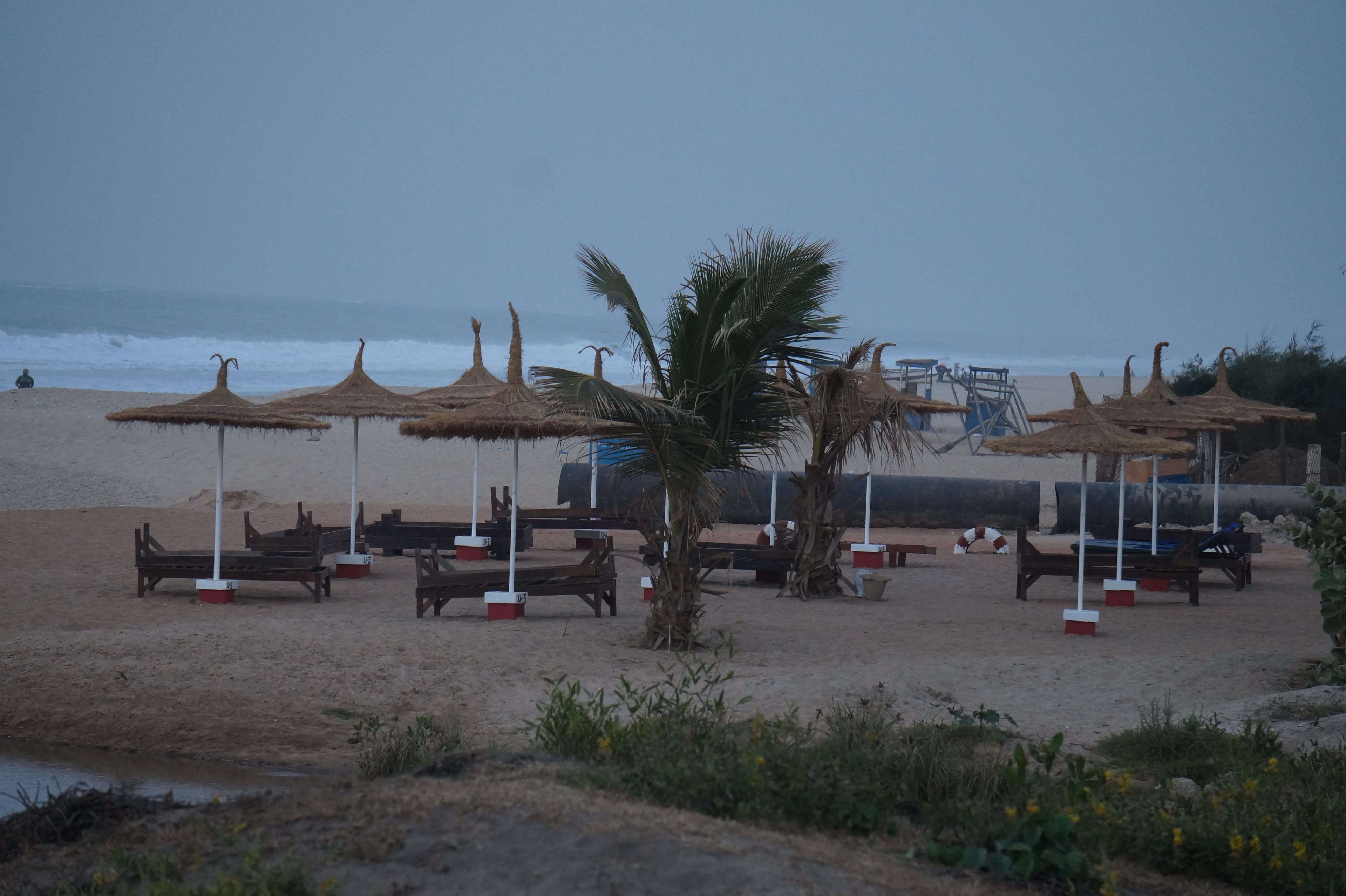 Una playa con sombrillas de techo de paja, bancos de madera y palmeras.