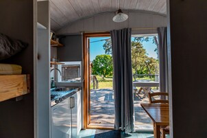 Economy Cabin
