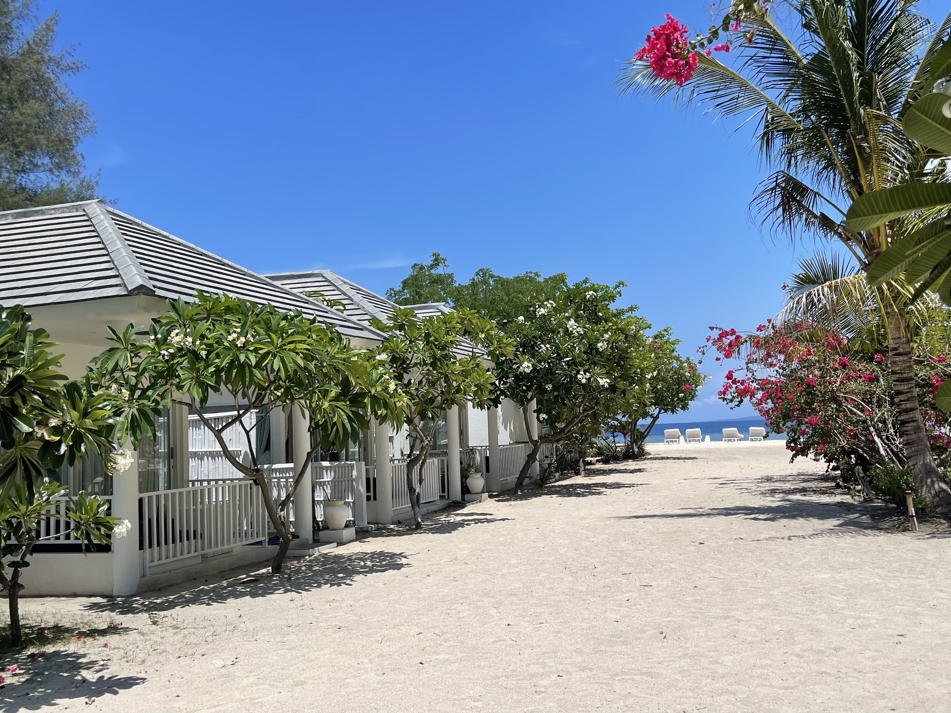 Una propiedad frente a la playa con un paseo techado, palmeras y sillas de playa.