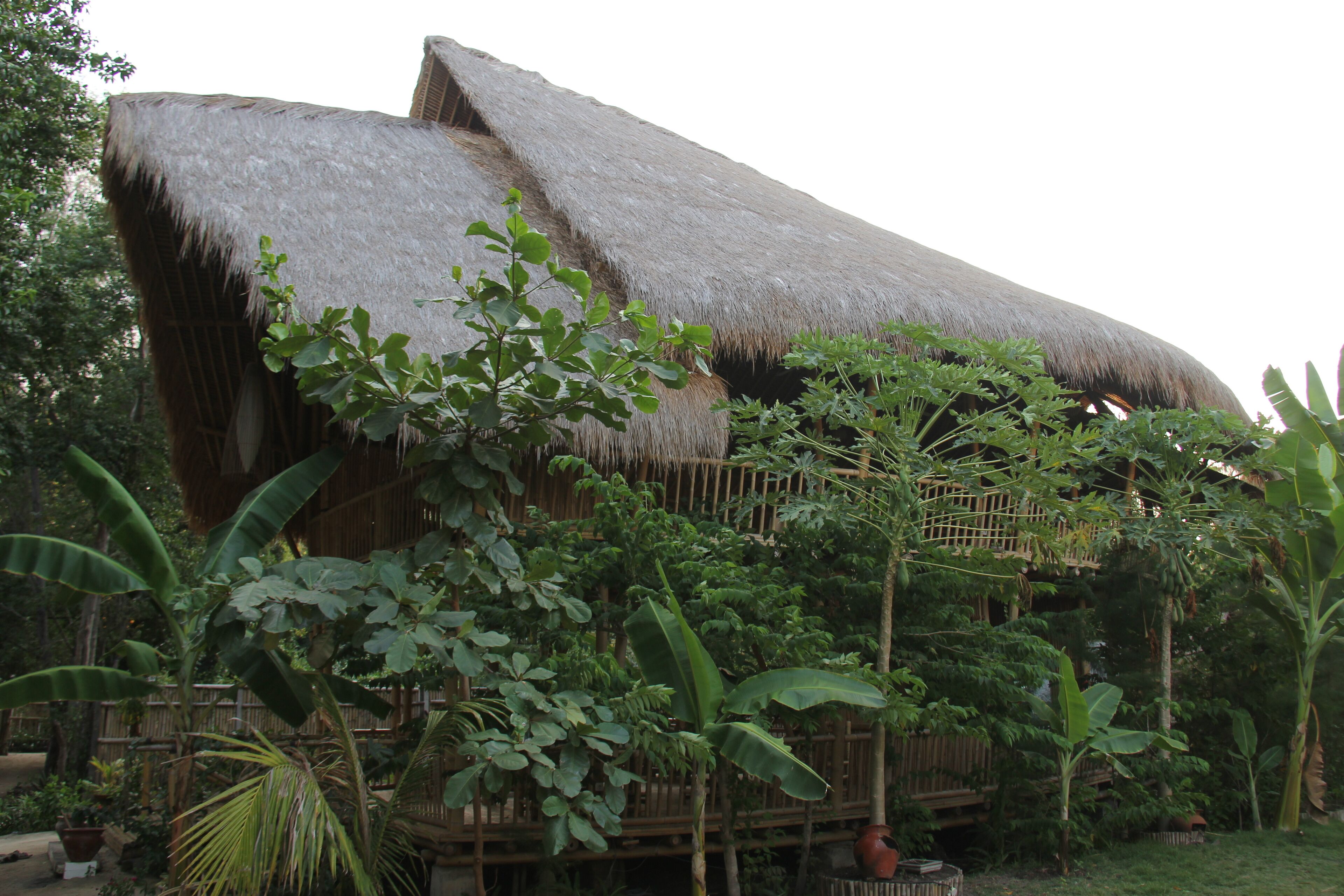 A thatched-roof structure surrounded by lush greenery.