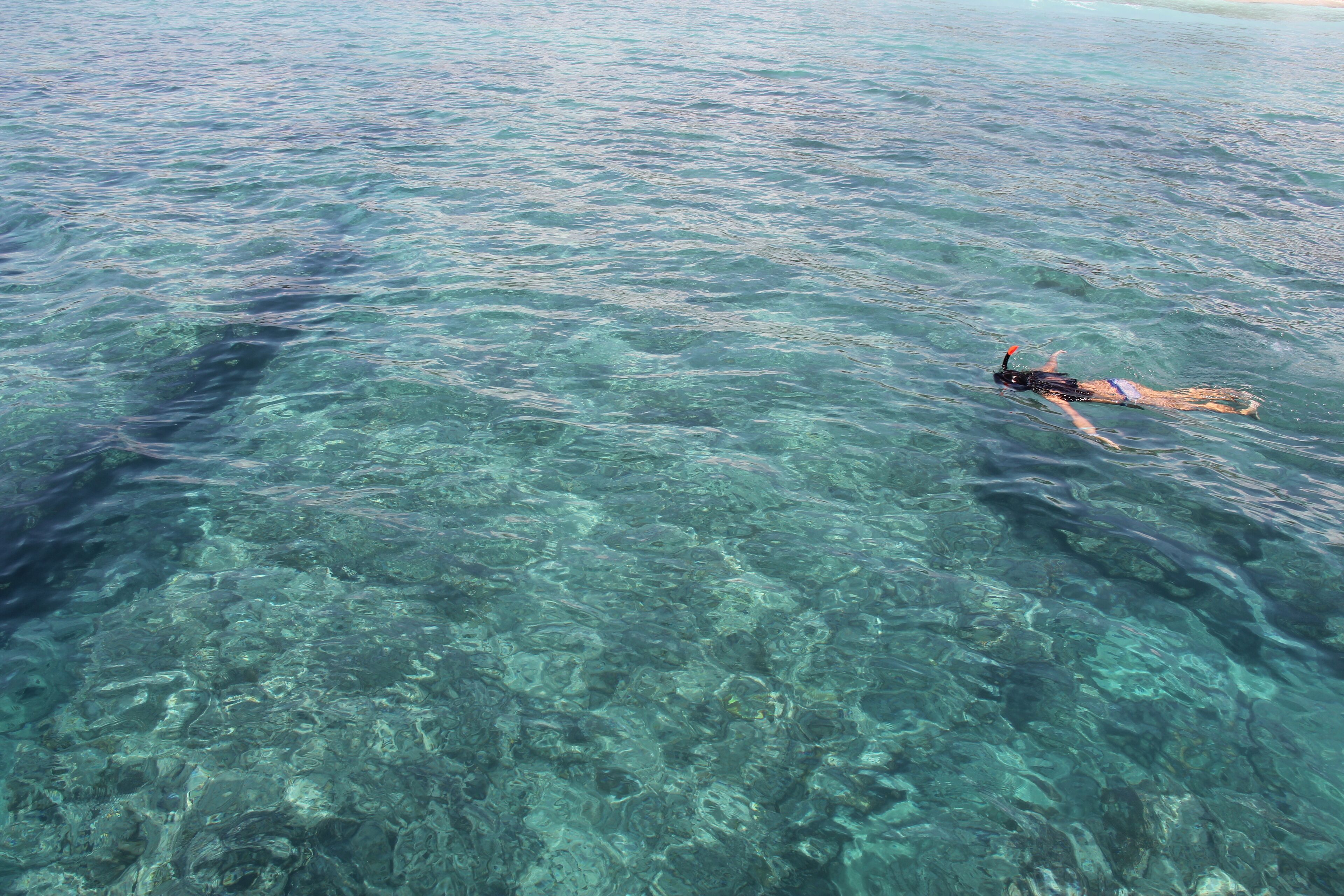 on the beach, white sand, sun-loungers, beach umbrellas