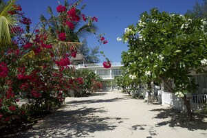 Un patio con cerca blanca, palmeras y plantas con flores.