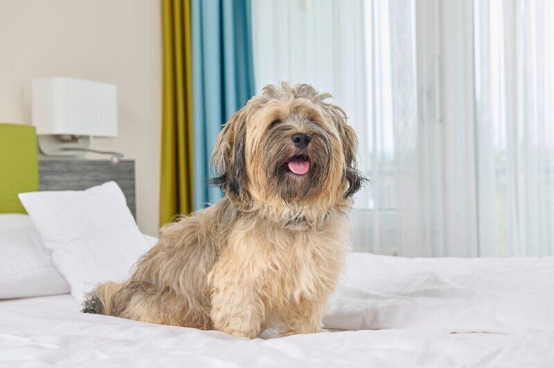 Hypo-allergenic bedding, in-room safe, desk, laptop workspace