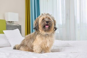 Hypo-allergenic bedding, in-room safe, desk, laptop workspace - MASEVEN Stuttgart SI-Centrum (ehem. SI-SUITES) (Stuttgart)