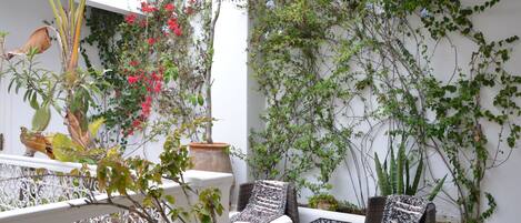 Terraza o patio