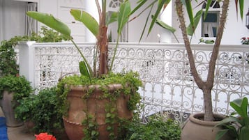 Teras/patio
