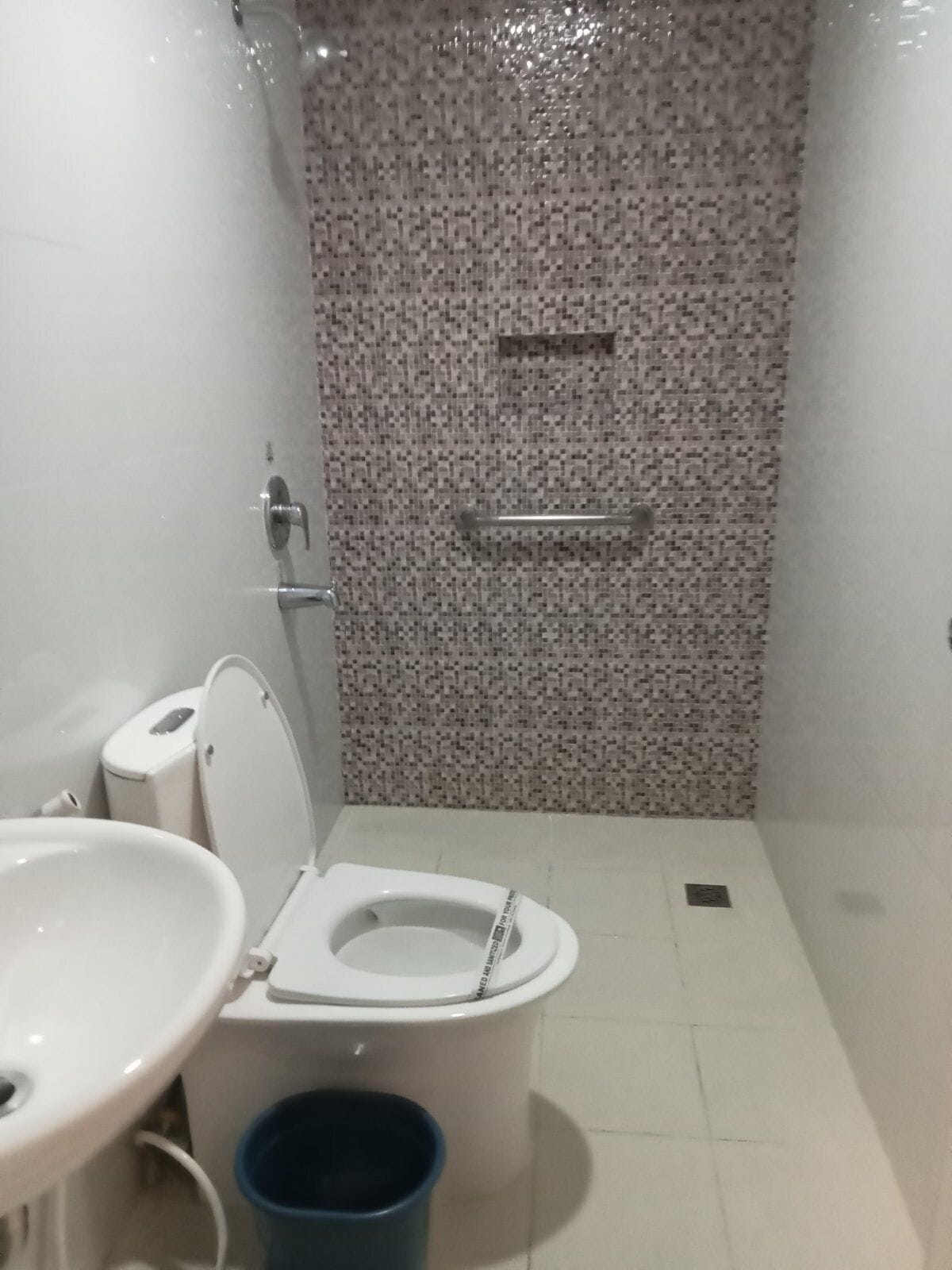 A bathroom with a toilet, sink, and shower area.