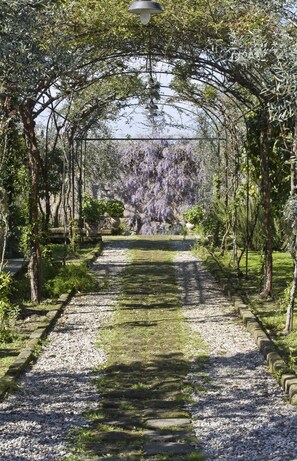 Garden - Chalet Lidia (Sorrento)