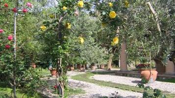 Tuin