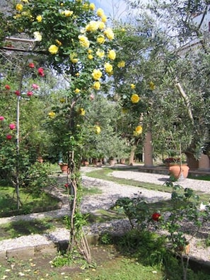 Garden - Chalet Lidia (Sorrento)