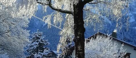 A snow-covered landscape with trees and a building in the background.