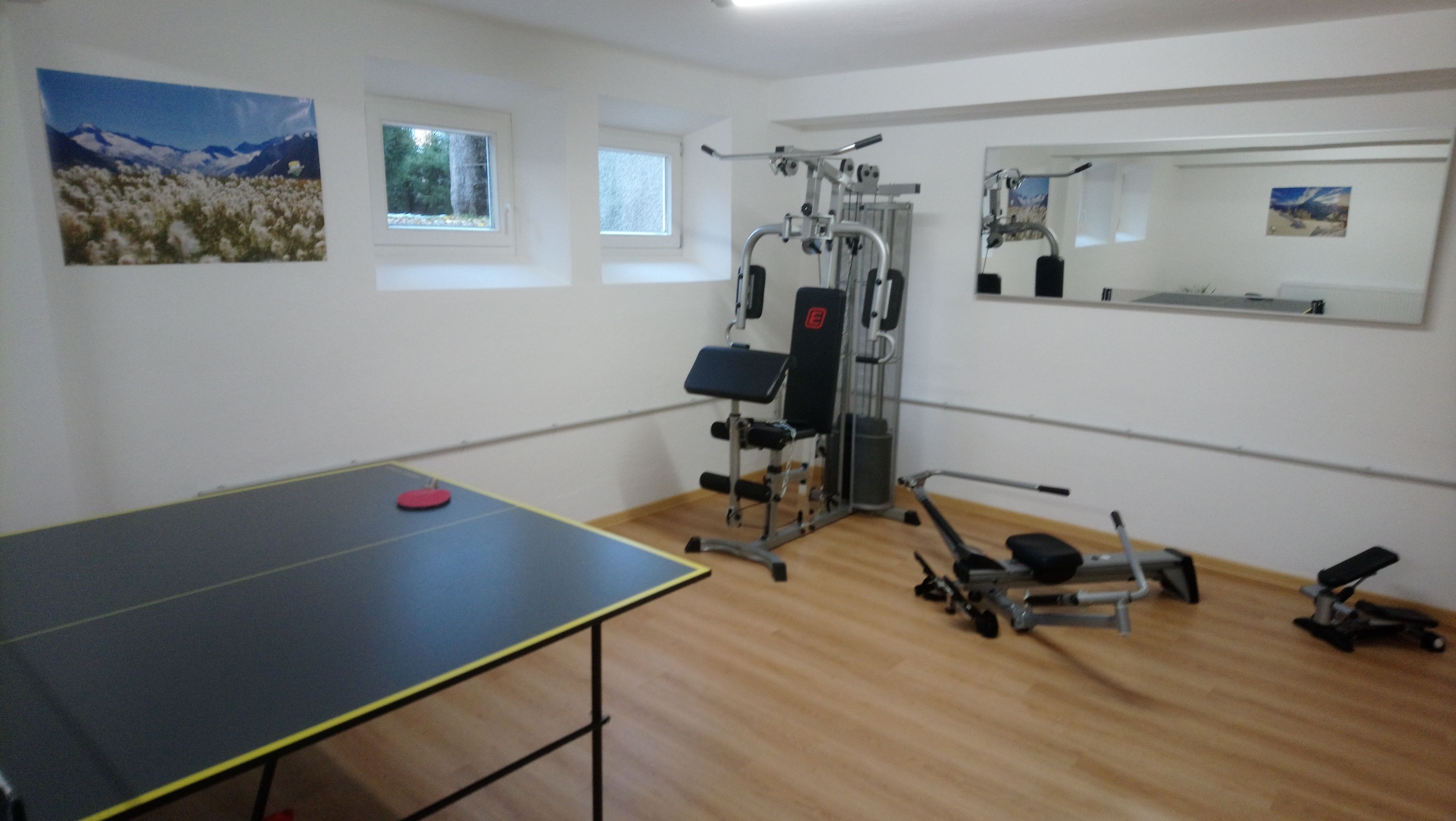 A room with a ping pong table, exercise equipment, and two windows with views of nature.