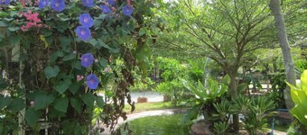 Cowboy Farm Resort Pattaya