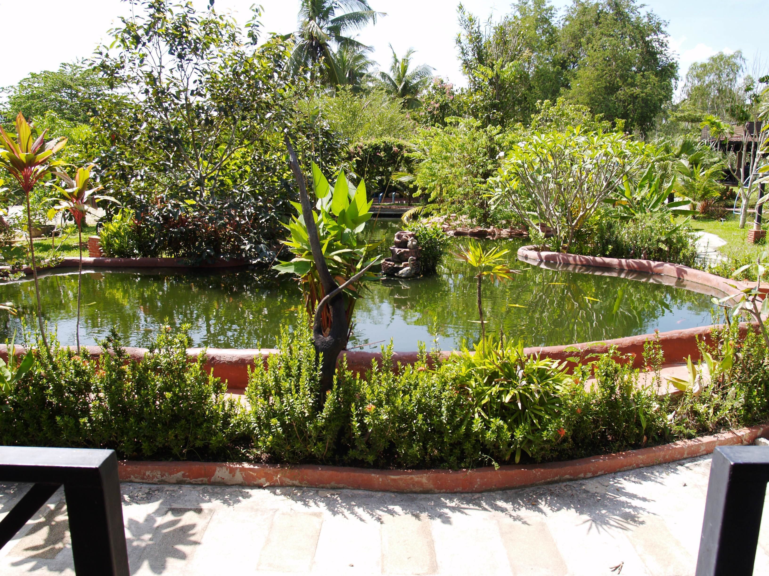 A garden with a pond, surrounded by various plants and trees.