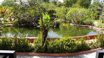 A garden with a pond, surrounded by various plants and trees.