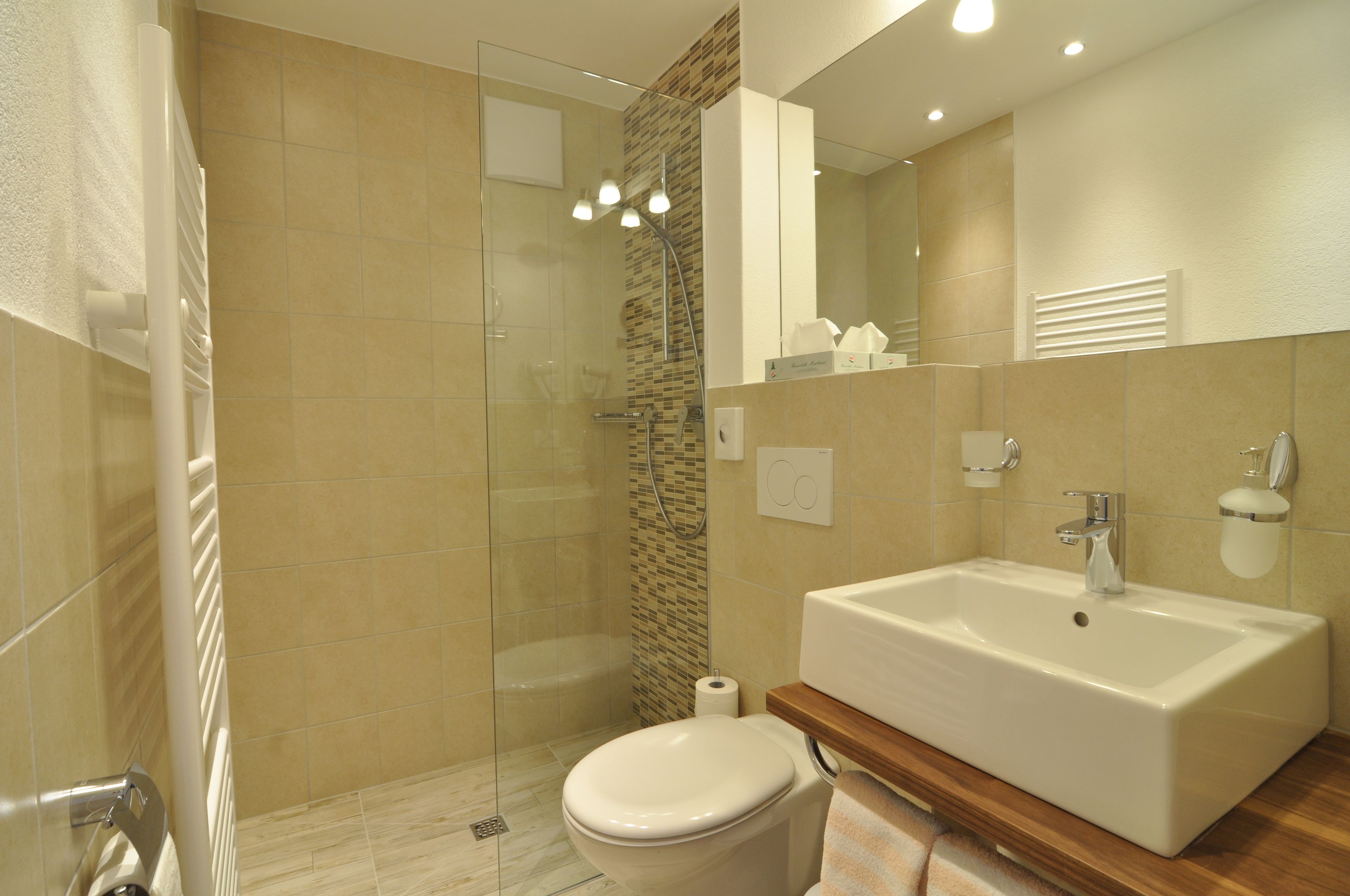 A modern bathroom with a glass-enclosed shower, a large sink, and a toilet.