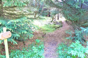 Vista desde la propiedad