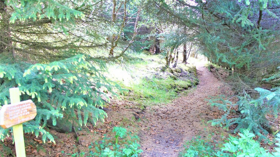 Solheimar Eco-Village Guesthouse