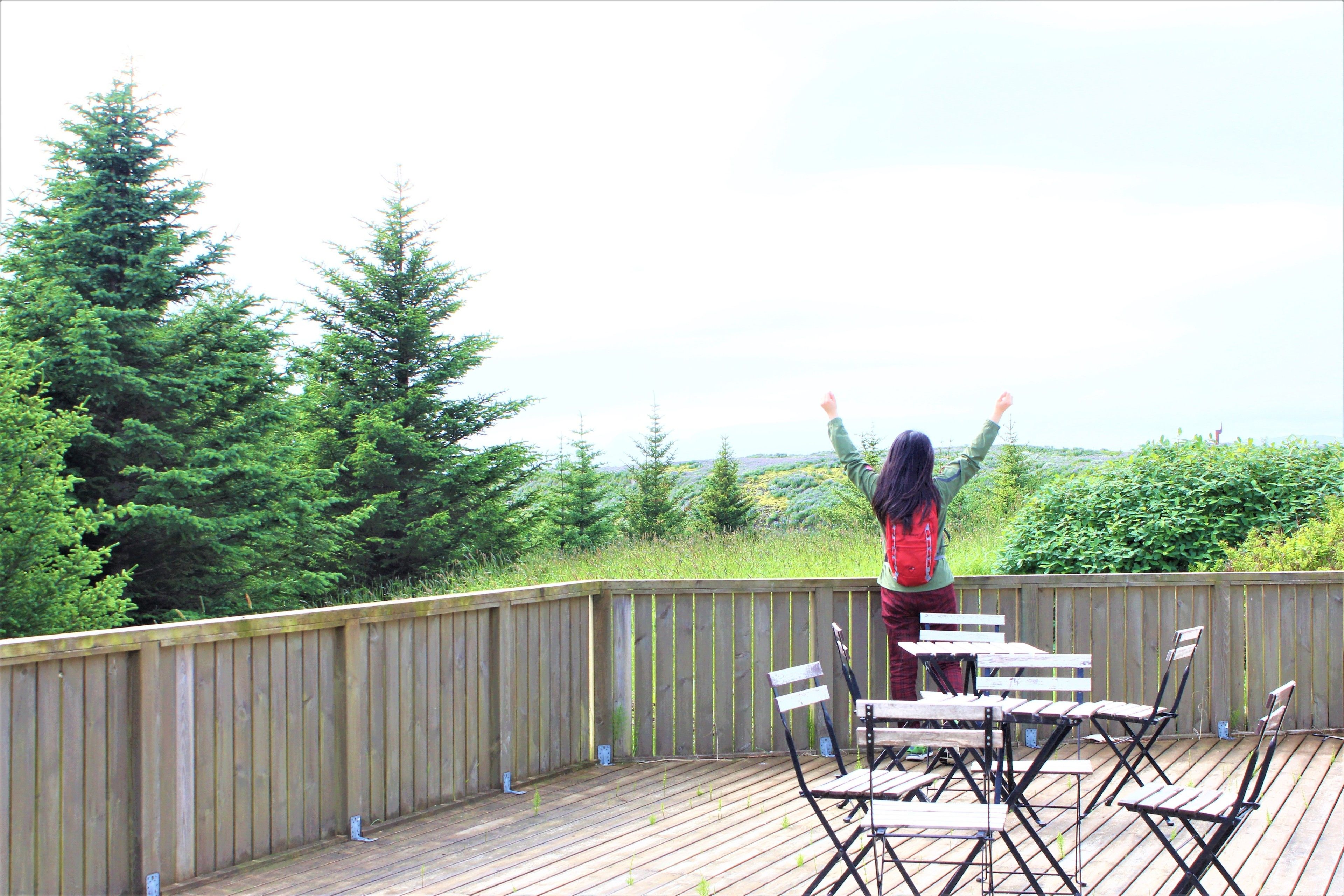 A wooden deck with chairs and a table, surrounded by a wooden fence and dense greenery.