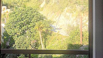 Studio | View from room