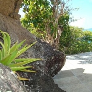 Property grounds - Galley Bay Cottages (St. John's)