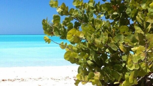 Een strand met helder turquoise water en wit zand.