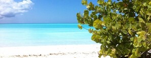 Uma praia com águas turquesa cristalinas e areia branca.