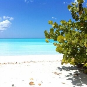 Beach nearby, white sand, beach towels - Galley Bay Cottages (St. John's)