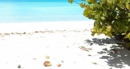 Galley Bay Cottages